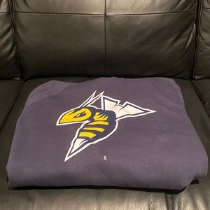 NEW ERA STINGERS HOODIE
